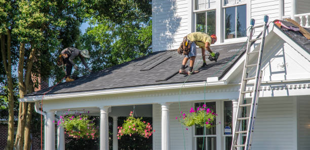 Best Chimney Flashing Repair  in Fitzgerald, GA